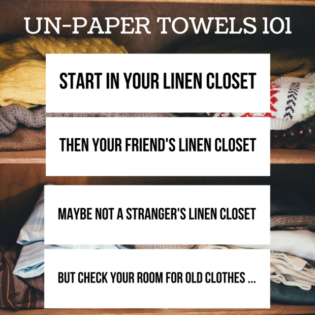 a cure for wasteful living unpaper towels 101.png